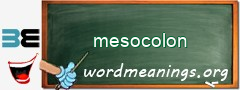 WordMeaning blackboard for mesocolon